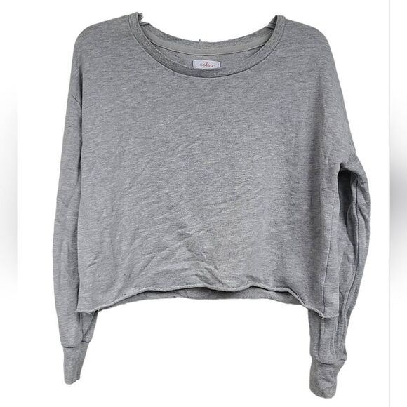 Colsie Gray Cropped Lightweight Sweatshirt Top Pullover Raw Hem Sweater Shirt - Picture 1 of 6